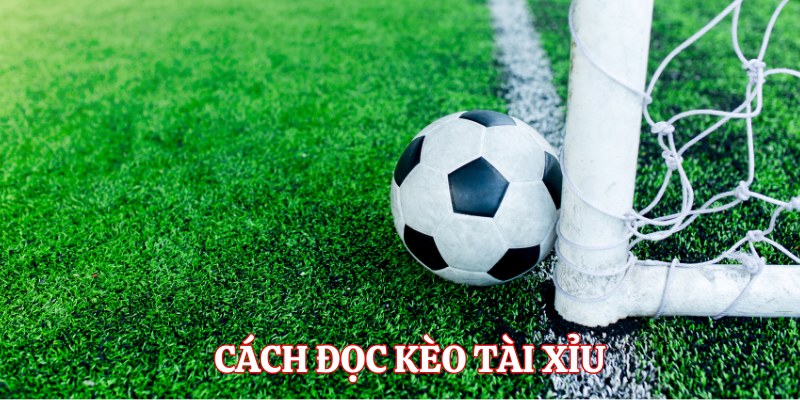 Kèo Tài Xỉu - Loại Hình Cá Cược Bóng Đá Thú Vị Tại 78WIN 3 Cách đọc tỷ lệ cược tài xỉu bóng đá